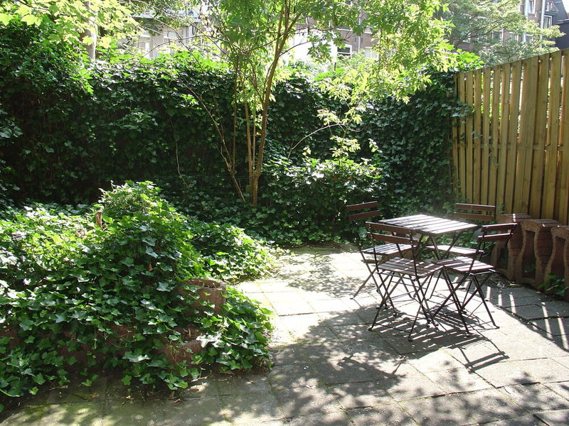 Hotel Blossoms, Amsterdam, Нидерланды