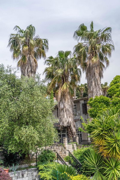 Villa Nautica, Herceg Novi, Montenegro