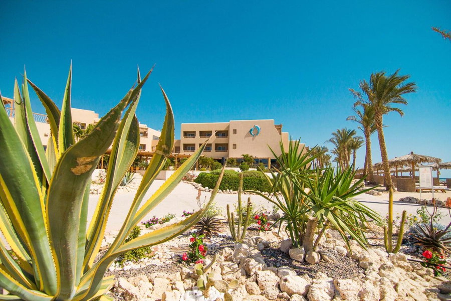 The Breakers Diving and Surfing Lodge Soma Bay, Safaga, Egypt