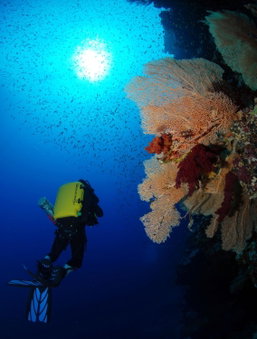 The Breakers Diving and Surfing Lodge Soma Bay, Safaga, Egypt