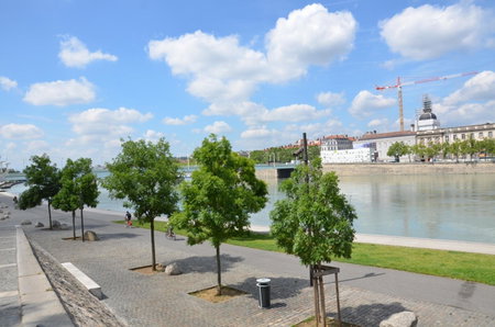 Best Western Plus Hotel du Pont Wilson, Lyon 03, Francia