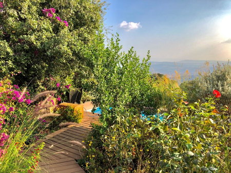 Rose Garden - Gan Vradim, Amirim, Israel
