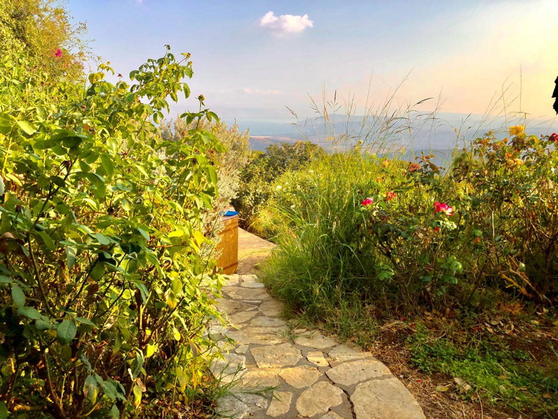 Rose Garden - Gan Vradim, Amirim, Israel