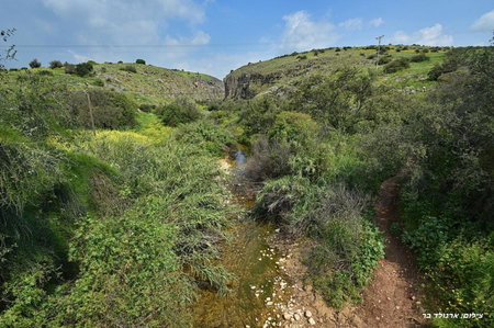 Agama, Livnim, Israel
