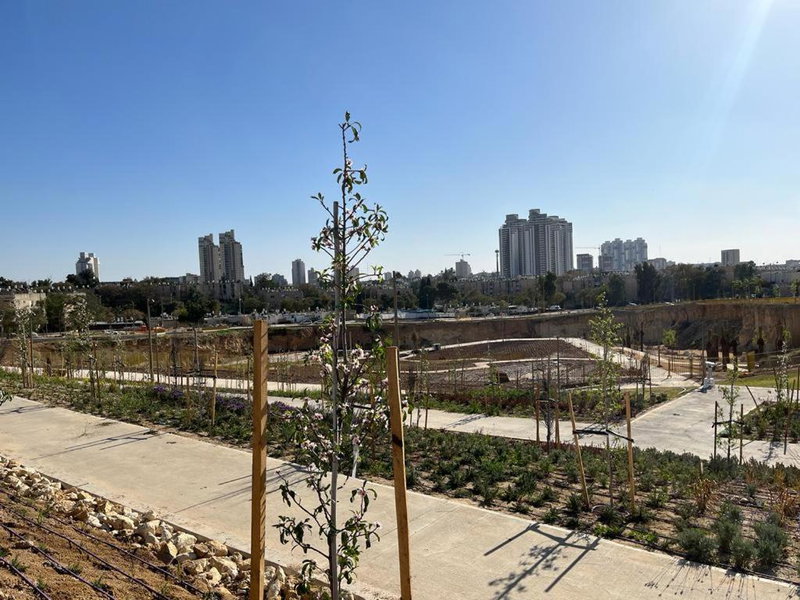 Lovely New Central Apartment, Beer Sheva, Israel