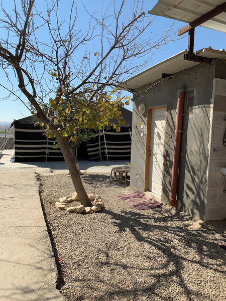Amazing Bedouin Hospitality, Abu Basma, Israel