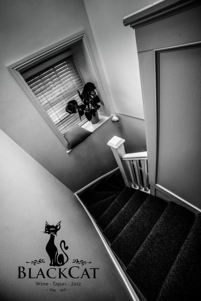 Black Cat, Galway, Irlanda