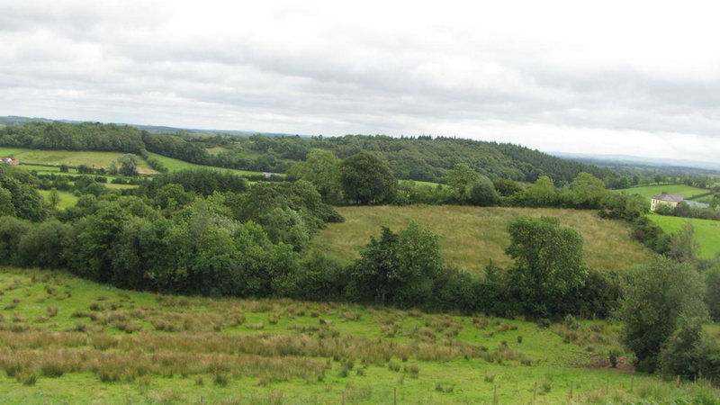 Grangeview House B&B, Mullinderg, Ireland