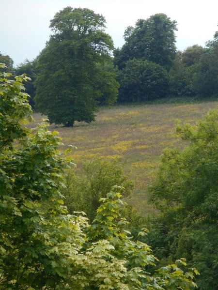 Diamond Hill Country House, Waterford, Ireland