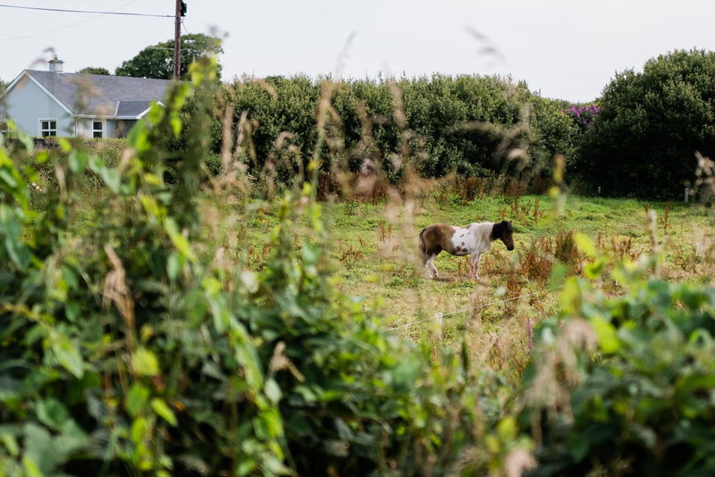 Modern self catering apartment, Miltown Malbay, Miltown Malbay, Ireland