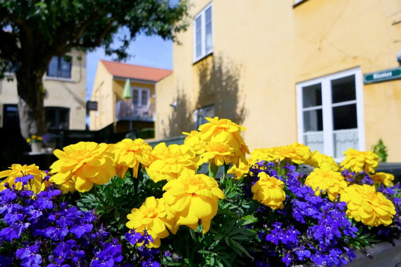 Dragør Hotel & Apartments, Copenhagen, Dinamarca