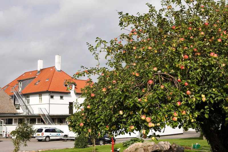 Hotel Troense, Svendborg, Denmark