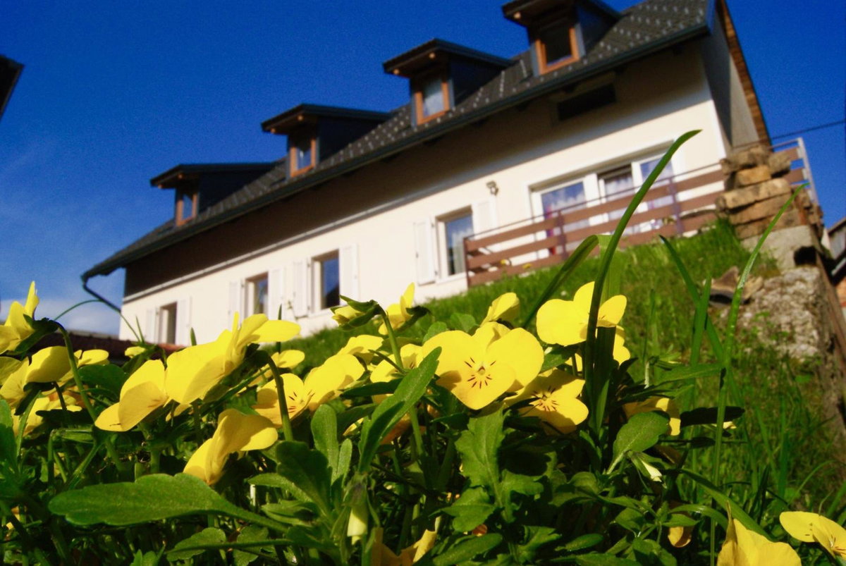 Apartmaji Pri Kokolu, Slovenia