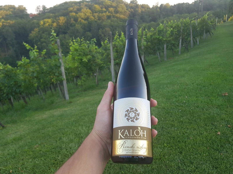 Wine House Kaloh, Maribor, Slovenia