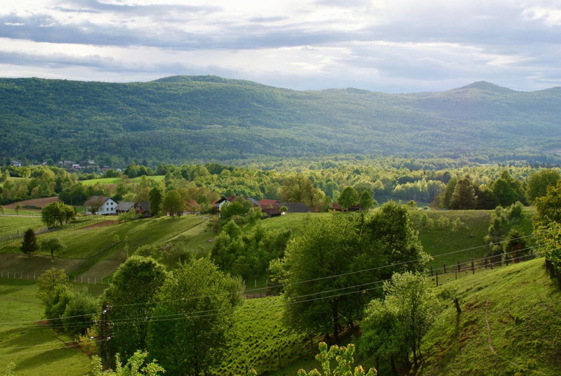 Frankovič Bed&Breakfast, Vinica, Slovenia