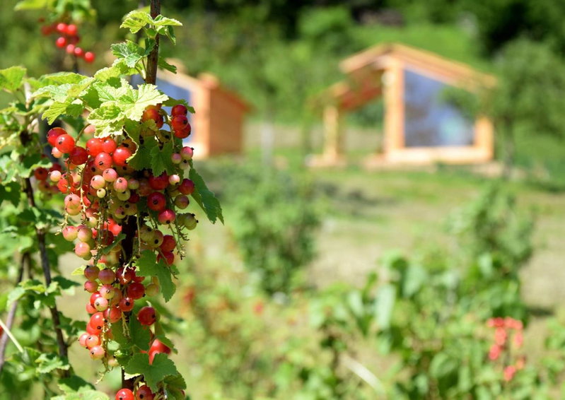 Mountain view Glamping, Dovje, Slovenia