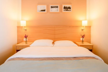 Wellness Hotel Montis, Mozirje, Slovenia