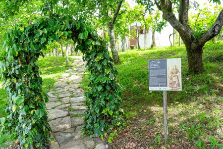Guesthouse Green Istria, Marezige, Slovenia