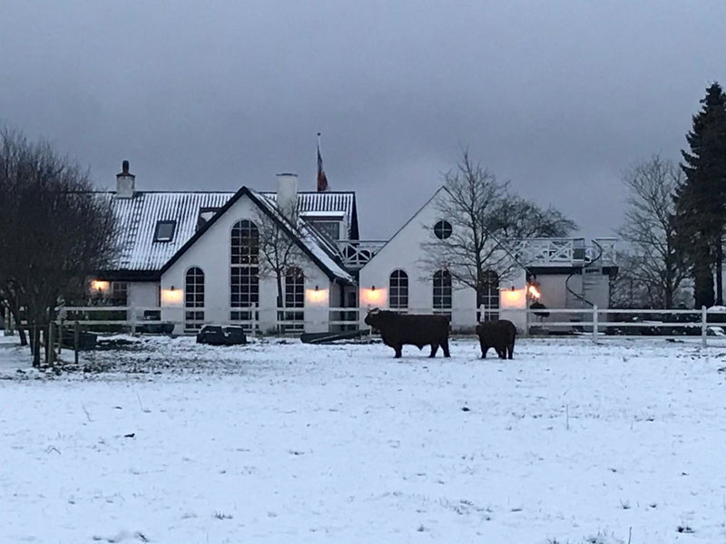 Troldegaarden Guesthouse, Køge, Denmark