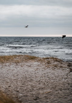 Strandmotellet, Greve, Denmark