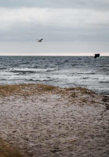 Strandmotellet, Greve, Denmark