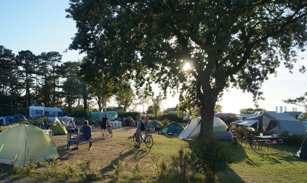 Hasle Camping (Empty Lots), Denmark