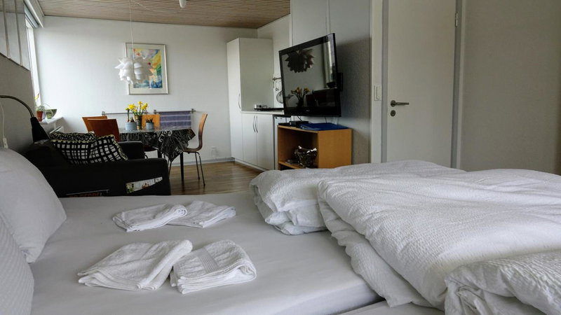2 rooms, private kitchen, bathroom, and garden., Arhus, Denmark