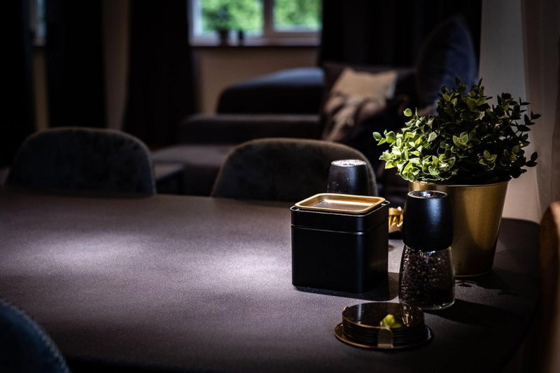 Pinska Paradise Apartment, Viljandi, Эстония