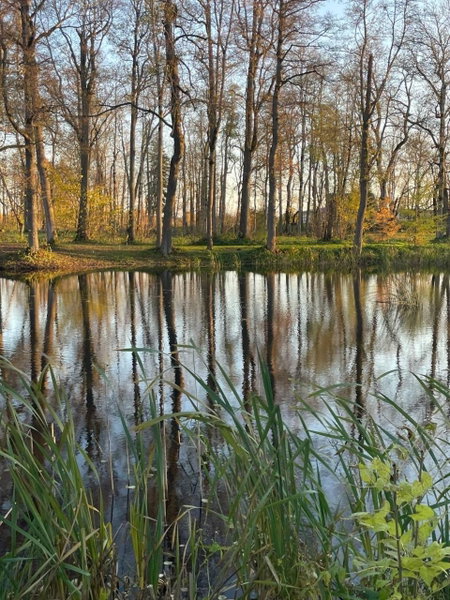Kurna Mõis, Kurna, Estland