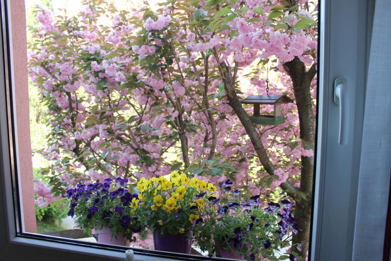 Rooms Jurca, Postojna, Словения