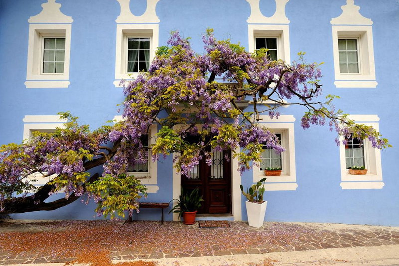The Blue House, Tolmin, Slovenia