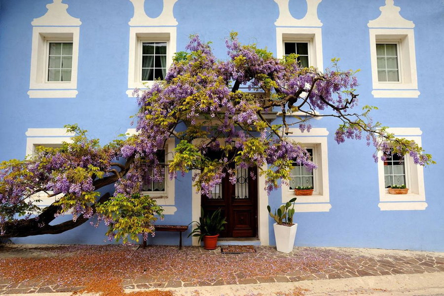 The Blue House, Tolmin, Slovenia
