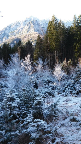 Apartment Crystal Rose, Kranjska Gora, Slovenia