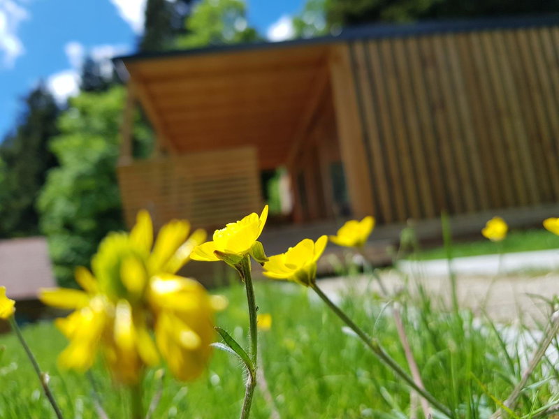 Planinski Dom na Travni Gori, Sodražica, Slowenien