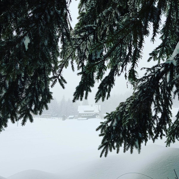Planinski Dom na Travni Gori, Sodražica, Slowenien
