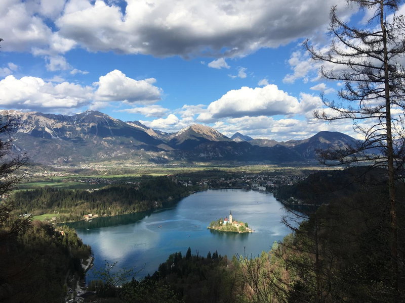 Villa Mint&Lavender ID1O1674, Bled, Slovenia