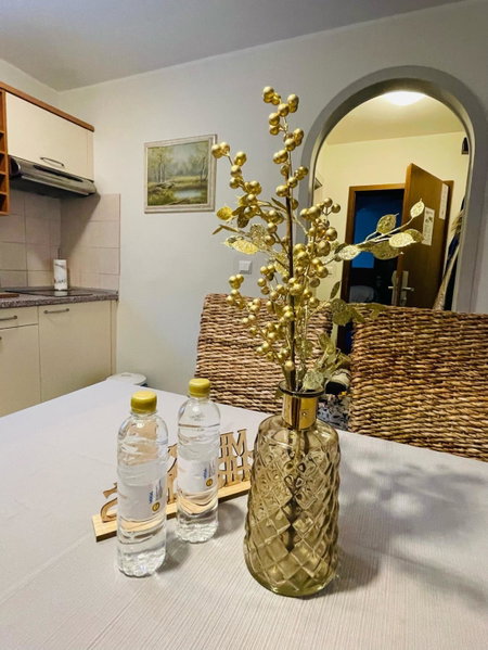 Apartment Amy, Podčetrtek, Slovenia