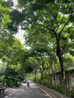 Apartment for sale in Ha Dong, Vietnam · Ecolife Capitol Project · 1 room, 1 bath