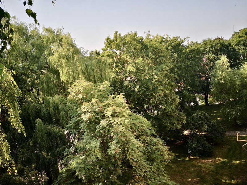 Hill Top apartment in central Kedainiai, Kedainiai, Litauen