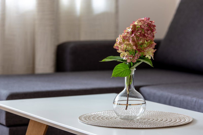 Violetos Lux Apartamentai2, Druskininkai, Lithuania