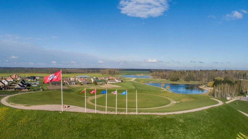 Baltas gandras, Naisiai, Lithuania