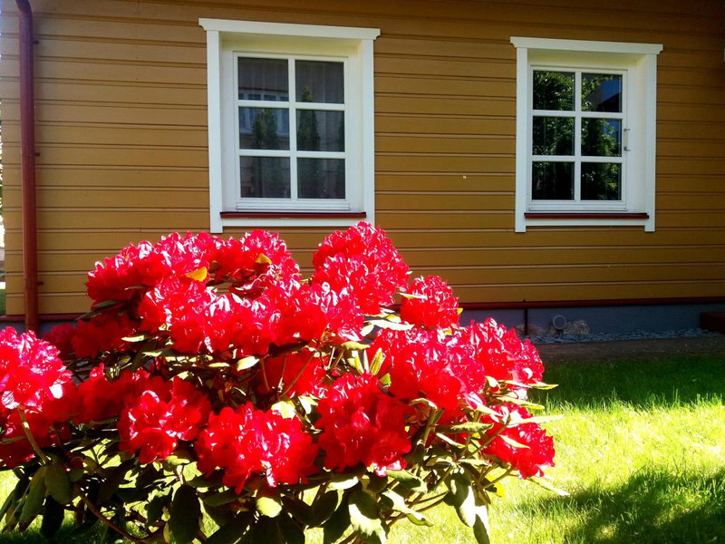 Vila Liepa, Birštonas, Lithuania