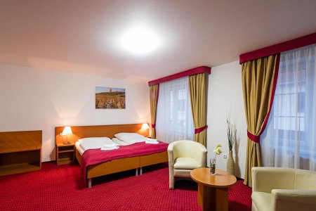 Wine Wellness Hotel Amande Hustopeče, Breclav, Czechia