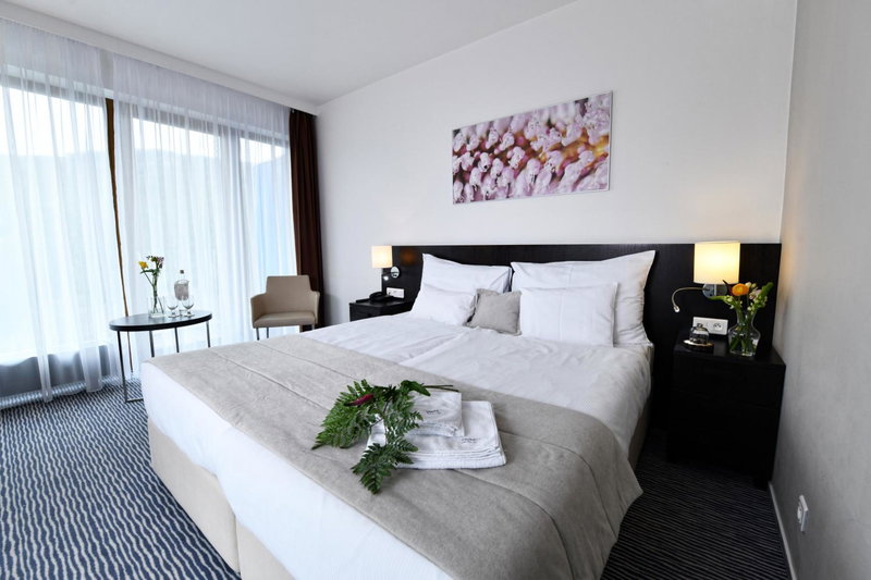 Wellness Hotel Vista, Sumperk, Czechia