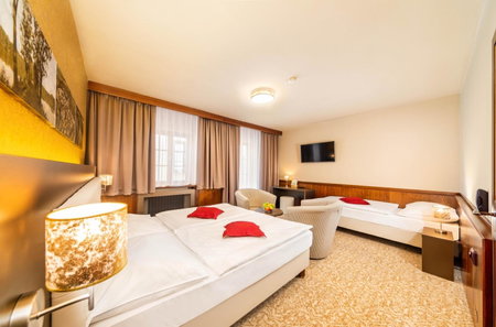 Wellness Hotel Zlatá Hvězda, Ceske Budejovice, Czechia