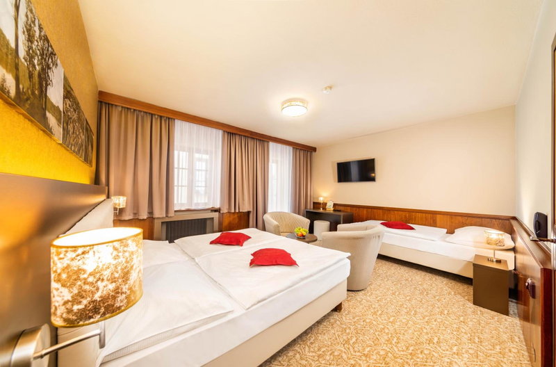 Wellness Hotel Zlatá Hvězda, Ceske Budejovice, Czechia