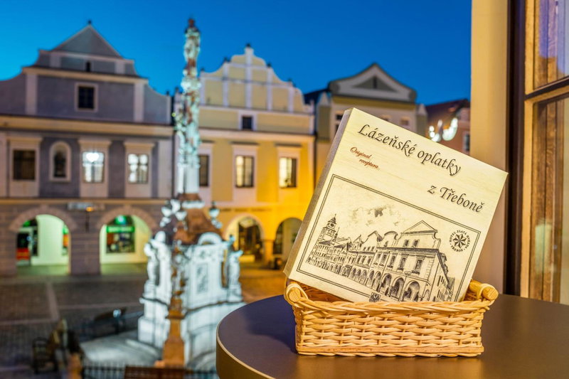 Wellness Hotel Zlatá Hvězda, Ceske Budejovice, Czechia