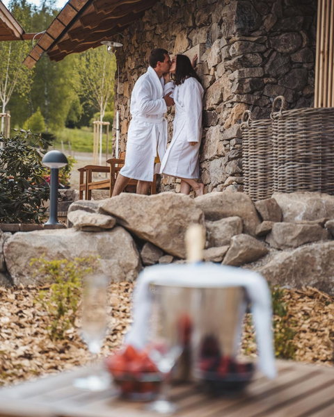 Aparthotel & Wellness Knížecí cesta, Horní Planá, Czechia