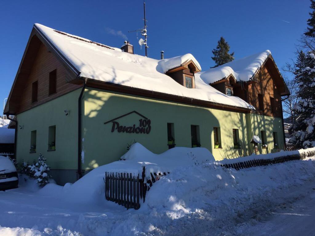 Hotel · Penzion 103, Železná Ruda