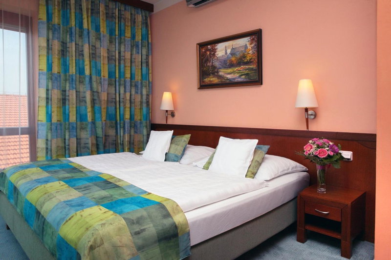 Wellness Hotel Happy Star, Znojmo, Czechia
